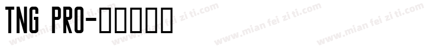 TNG Pro字体转换